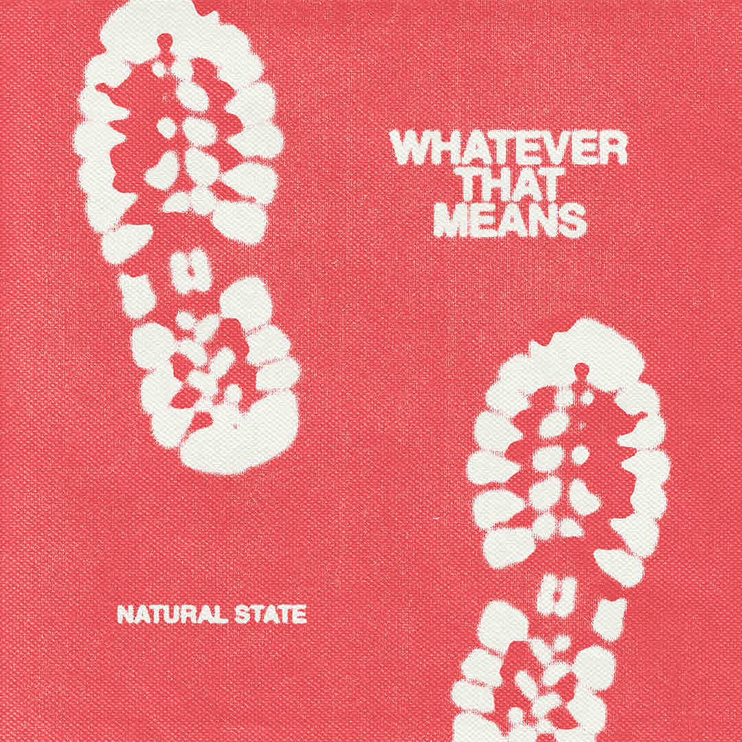 NATURAL STATE - WHATEVER THAT MEANS